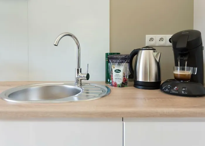 公寓 Liza Lux I Old Town